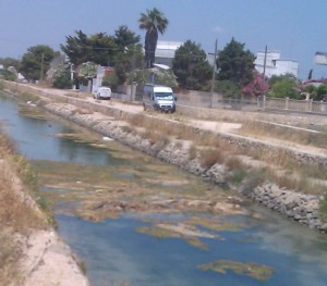 inquinamento canale porto cesareo