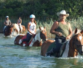 La tappa imperdibile per i turisti nel Salento: il maneggio di Lucio