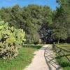 A Melpignano il riconoscimento "Bandiera Verde Agricoltura 2013"