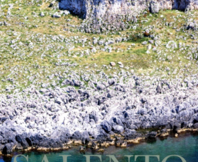 Zollino: presentazione del volume “Salento, anima di pietra”