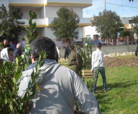 Festa dell’albero a Zollino