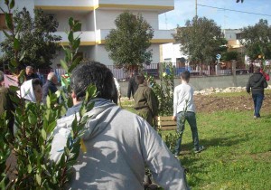 festa dell'albero a zollino