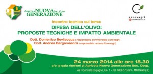 agricola nuova generazione promuove un incontro sulla difesa dell'olivo