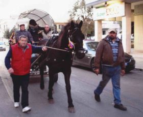 Il circolo amatori cavalli di Martano presenta: cavalli e cavalieri!