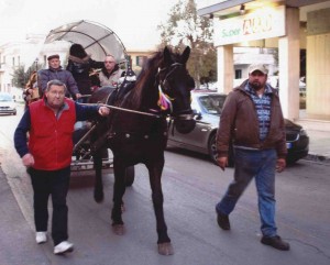 Il circolo amatori cavalli di Martano presenta: cavalli e cavalieri!