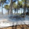 Piromane tenta di appiccare un incendio nel parco di Rauccio. Denunciato 68enne