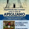 Aspettando San Lorenzo sotto il cielo di Apigliano