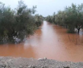 Maltempo nel Salento, inizia la conta dei danni sulle colture